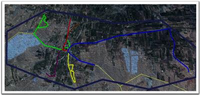 A Comparative Study of Enumeration Techniques for Free-Roaming Dogs in Rural Baramati, District Pune, India